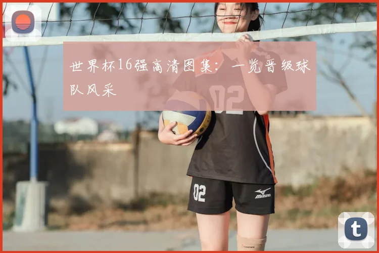 世界杯16强高清图集：一览晋级球队风采