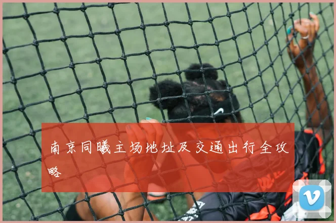 南京同曦主场地址及交通出行全攻略