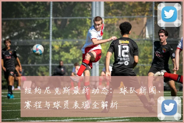 纽约尼克斯最新动态:球队新闻、赛程与球员表现全解析
