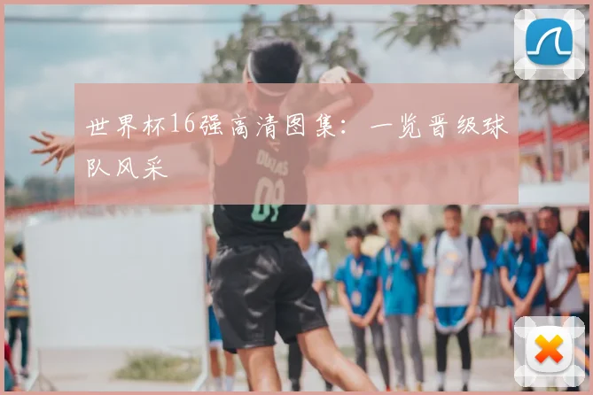 世界杯16强高清图集：一览晋级球队风采